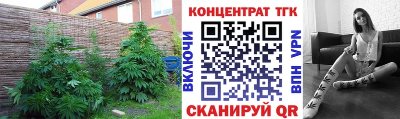 Дистиллят ТГК THC oil Новая Ляля