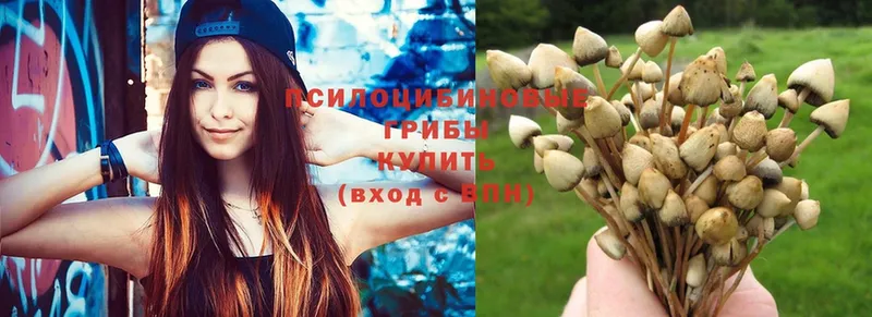 Псилоцибиновые грибы Psilocybe  наркошоп  Новая Ляля 